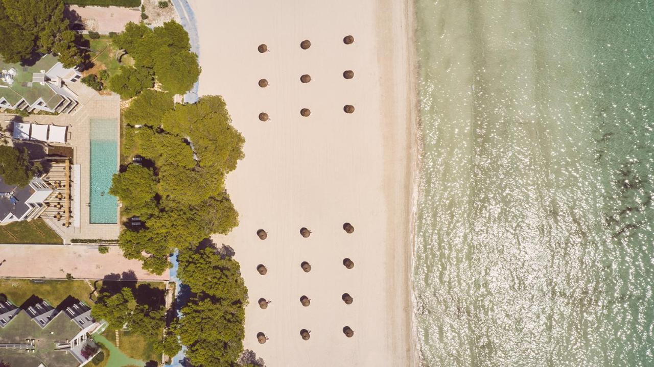 Sofia Alcudia Beach Port de Alcudia  Εξωτερικό φωτογραφία